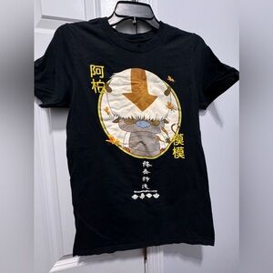 Avatar size small the last airbender